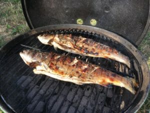 grill fisk grillet frisk