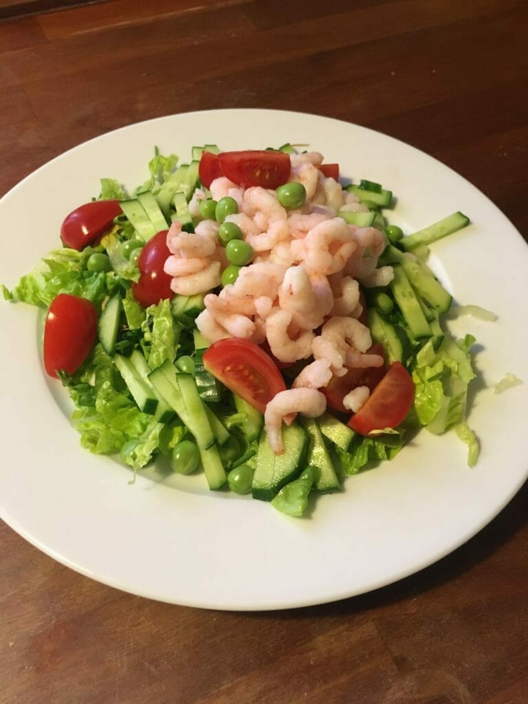 rejsesalat rejecocktail salat mad fra egen have