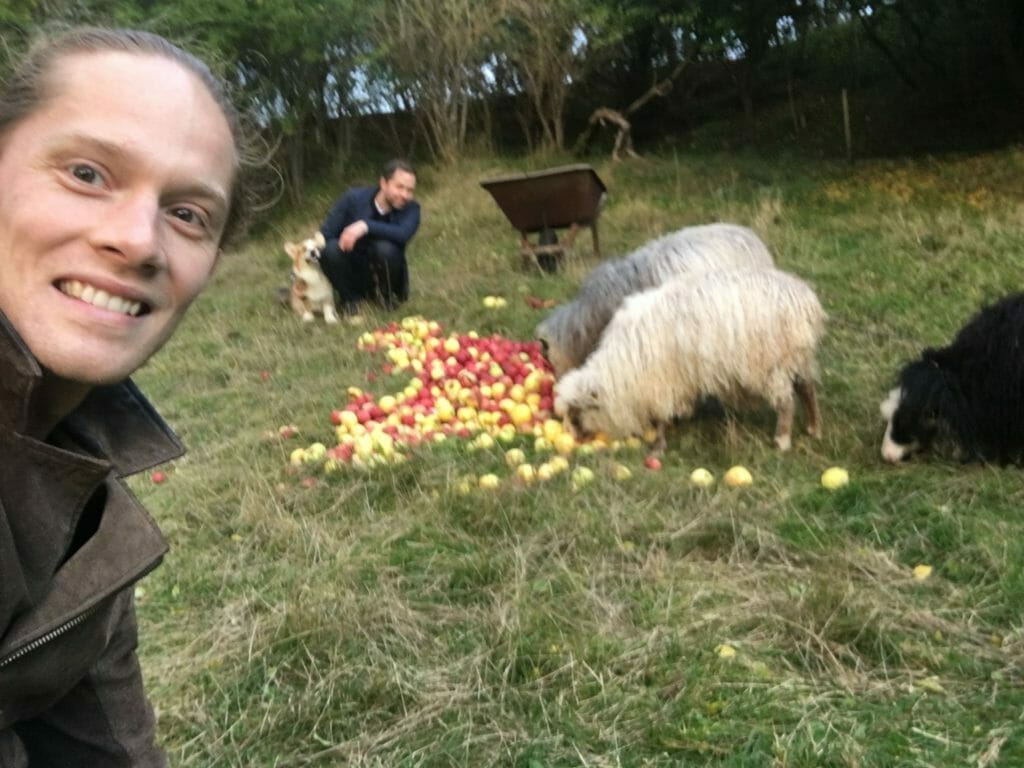 Selfie får æbler med orm hund