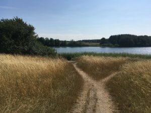 Bastrupsø badesø sommer