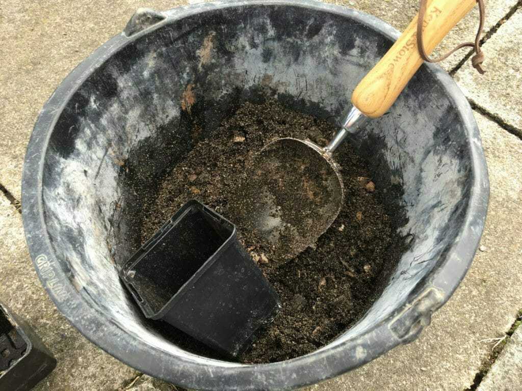 plantejord lavendel stiklinger hjemmelavet