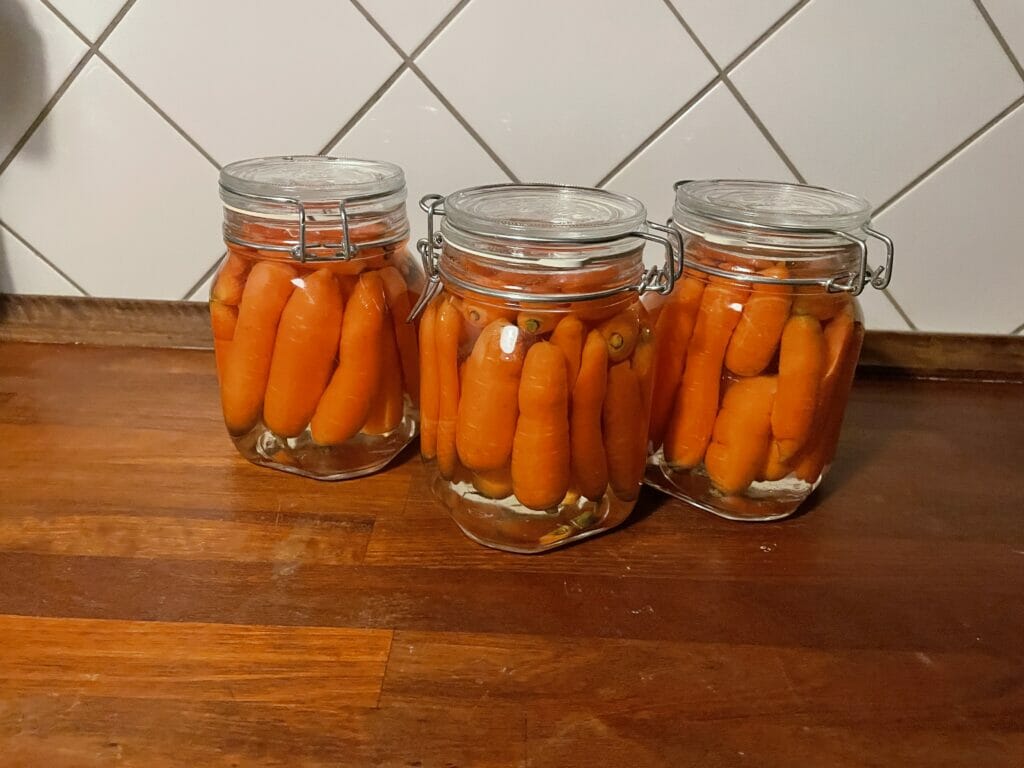 syltede gulerødder henkogning vinteropbevaring