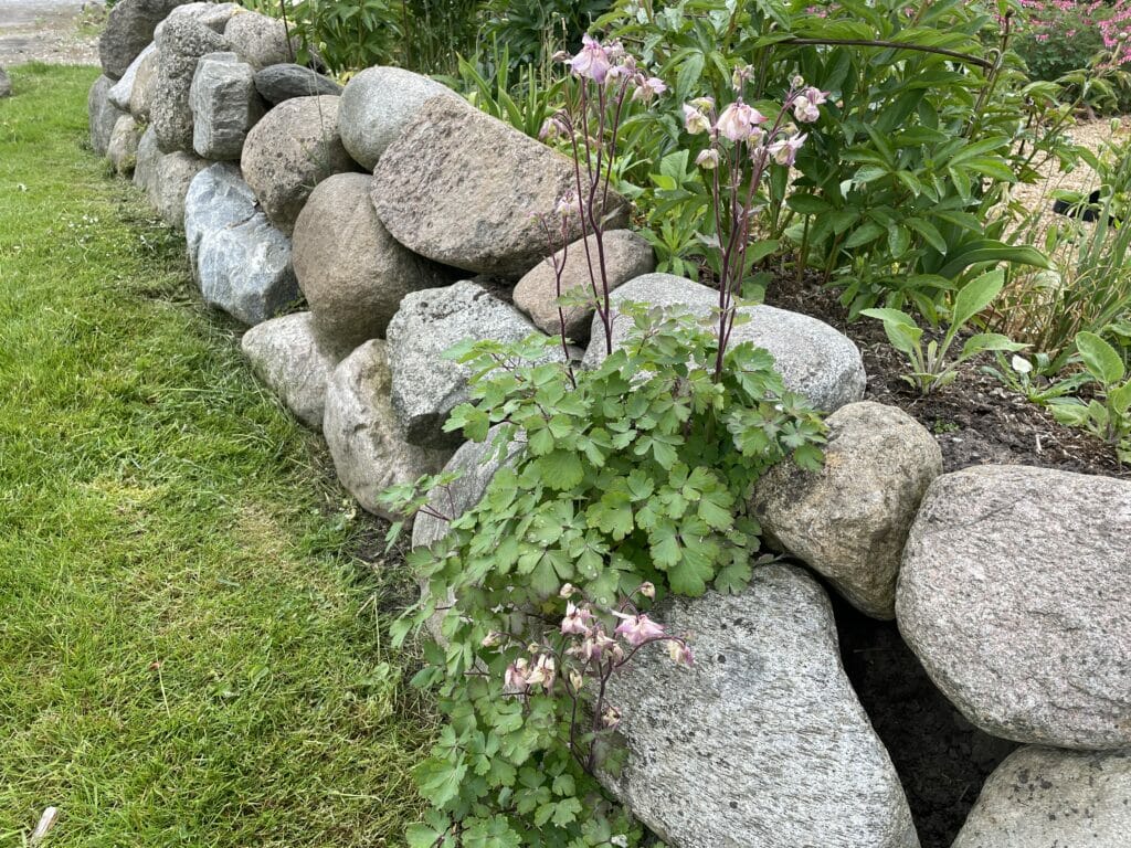 blomsterbed indkørsel stendige