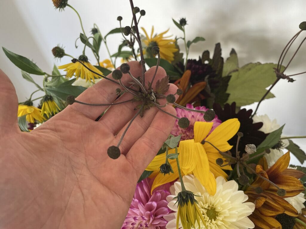 farverig efterårsbuket efterårsfarver buket snithave dyrkning blomster