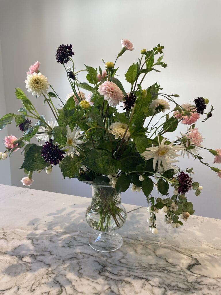 buket med scabiosa af egen avl