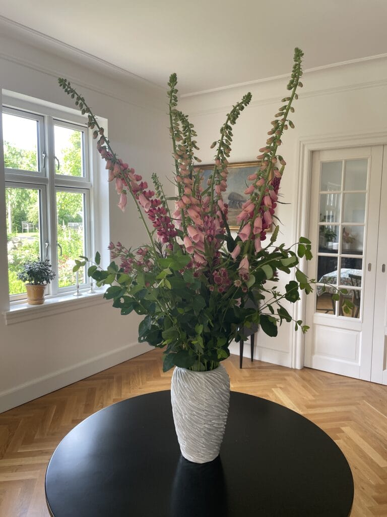 Fingerbøl blomst i buket med lupiner og stjerneskærm