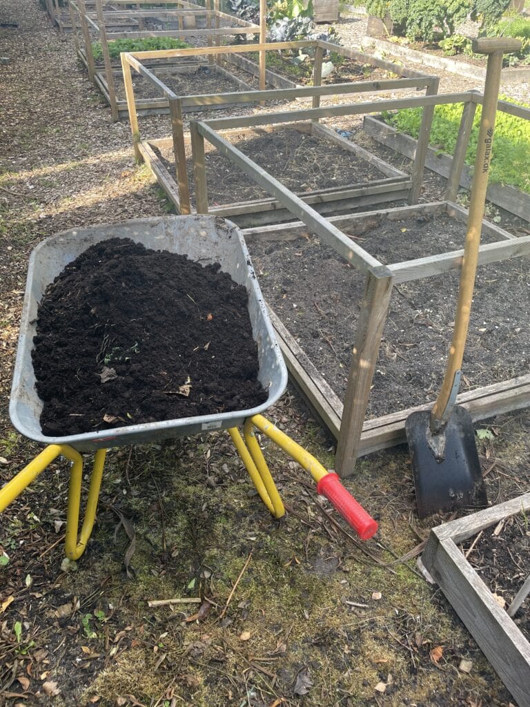 vinterklargøring af skærehaven med kompost og jorddække for at undgå ukrudt