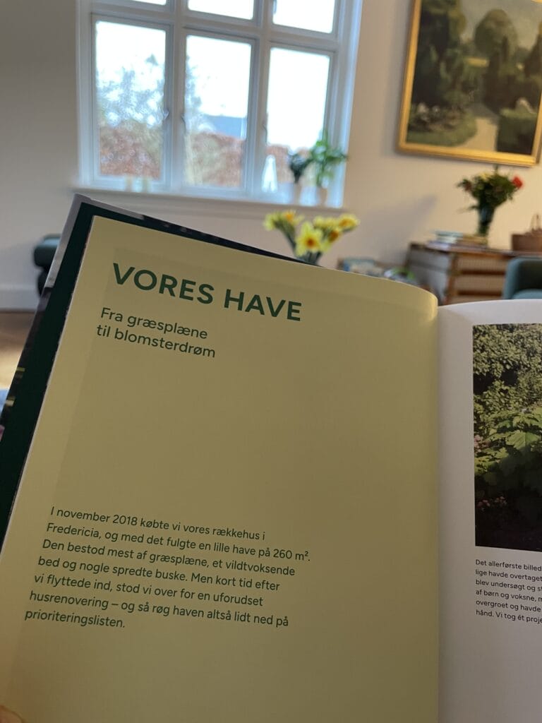 anmeldelse af blomsterhave på budget